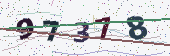 Verification code image
